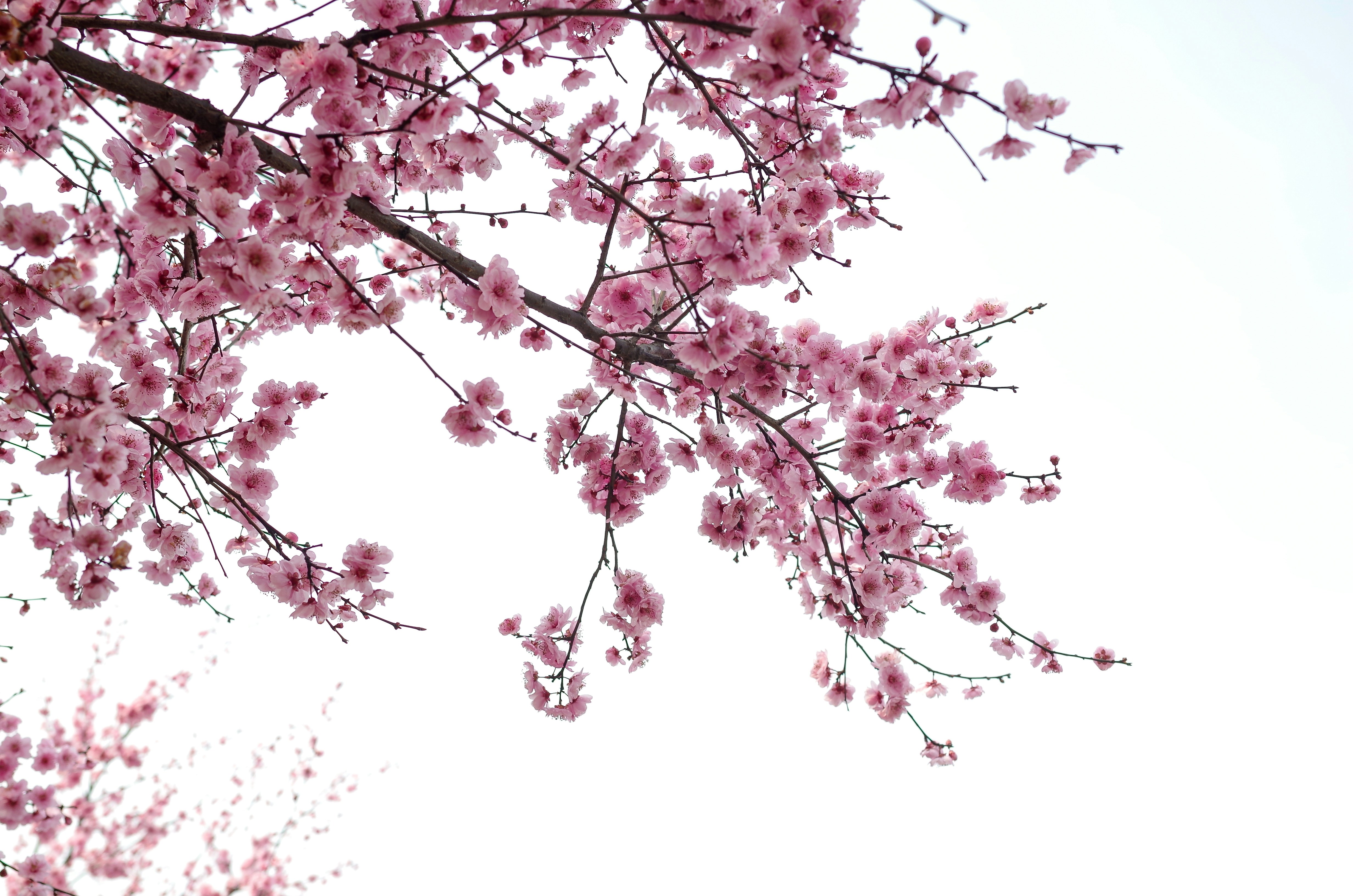 Photo by bigstarworkroom