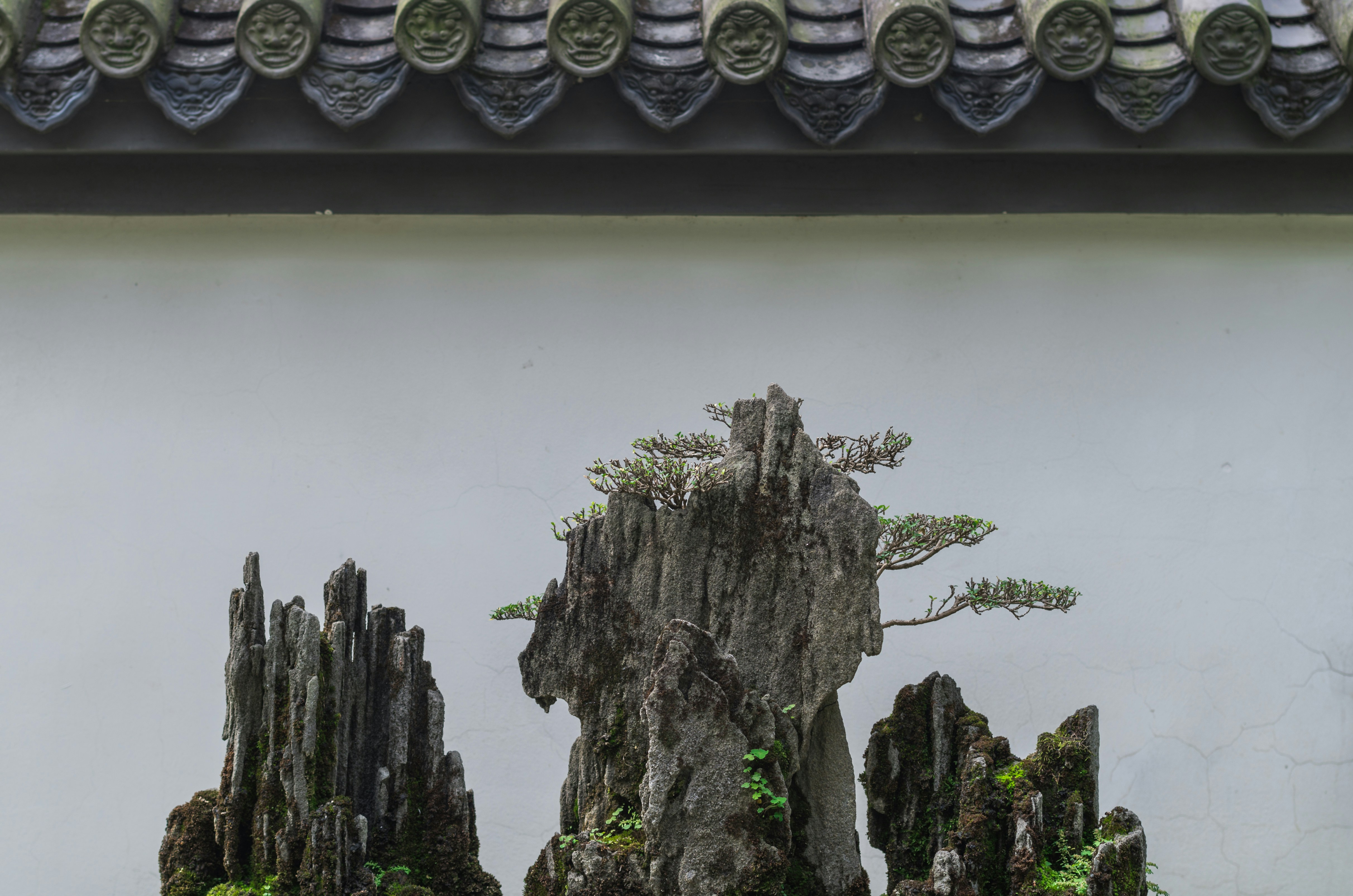 Photo by bigstarworkroom