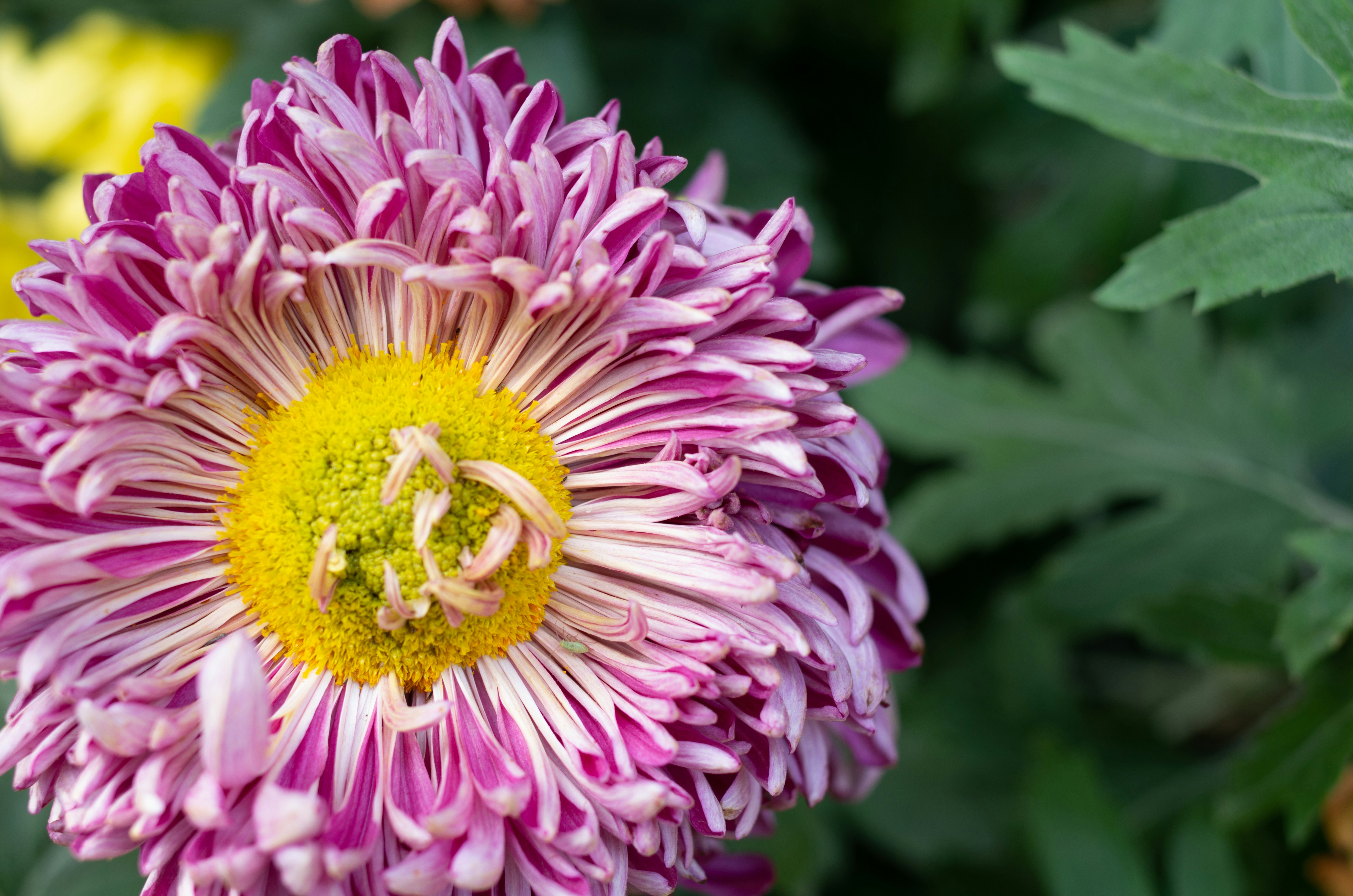 Photo by bigstarworkroom