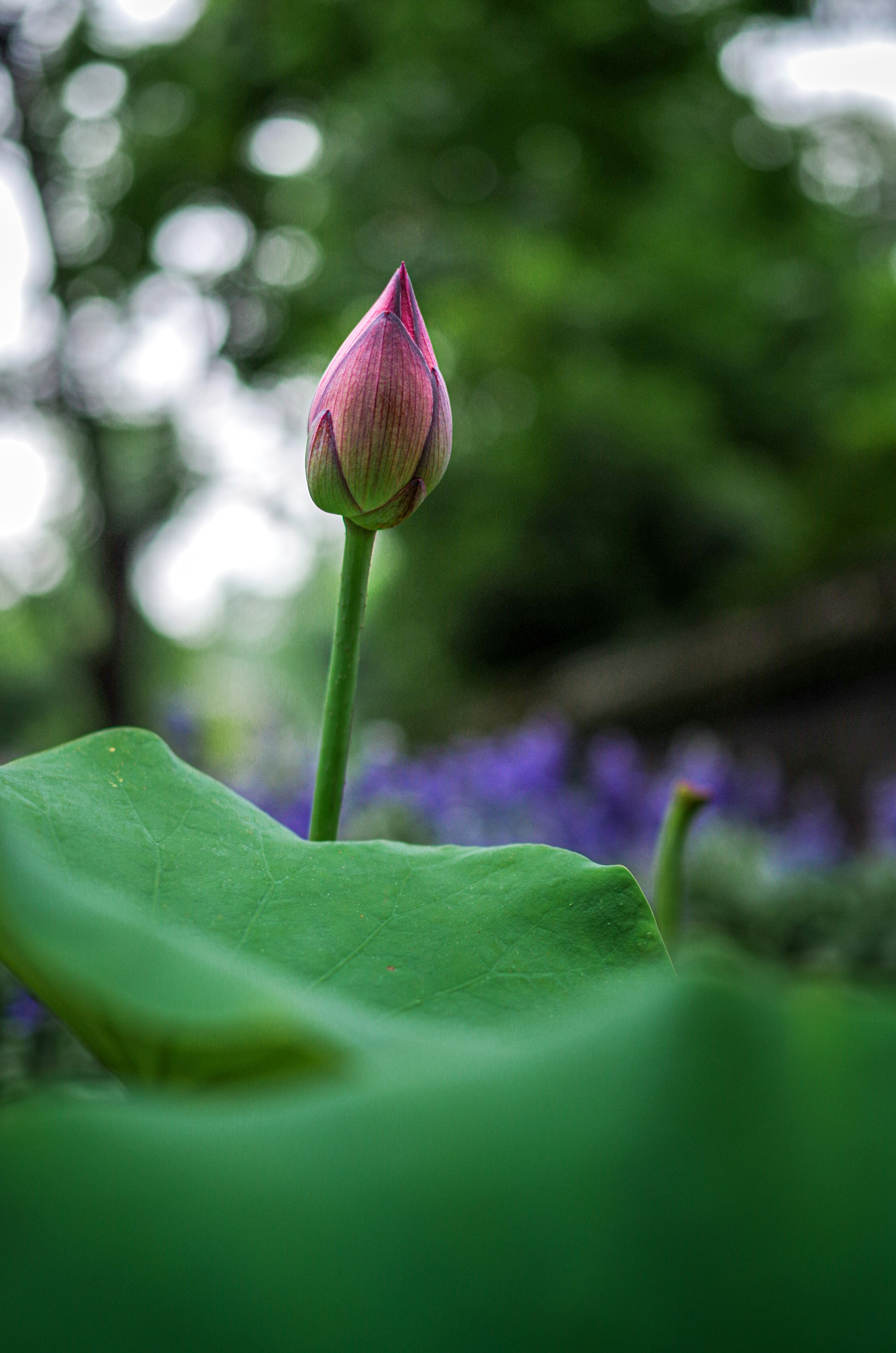 Photo by bigstarworkroom