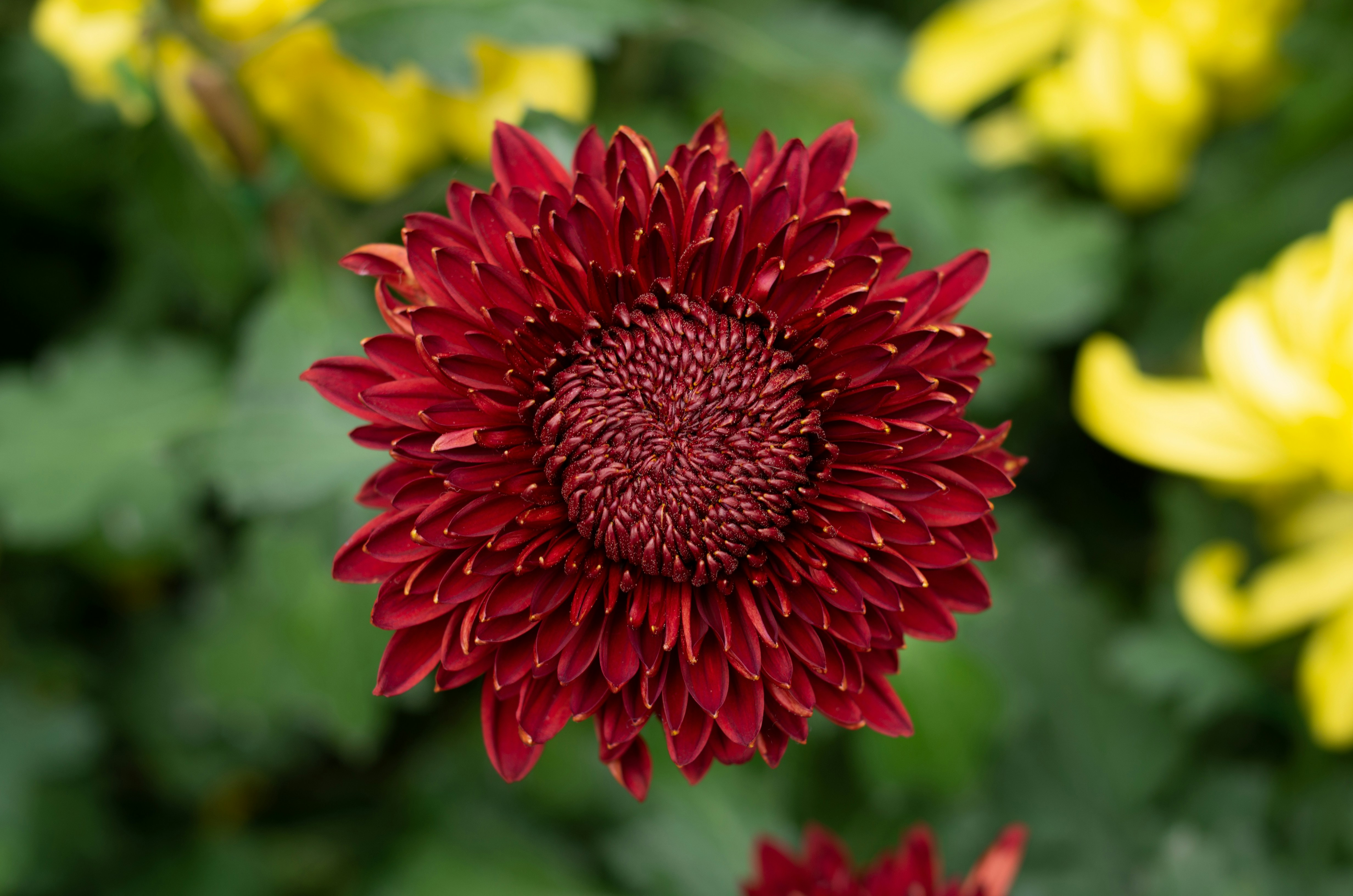 Photo by bigstarworkroom