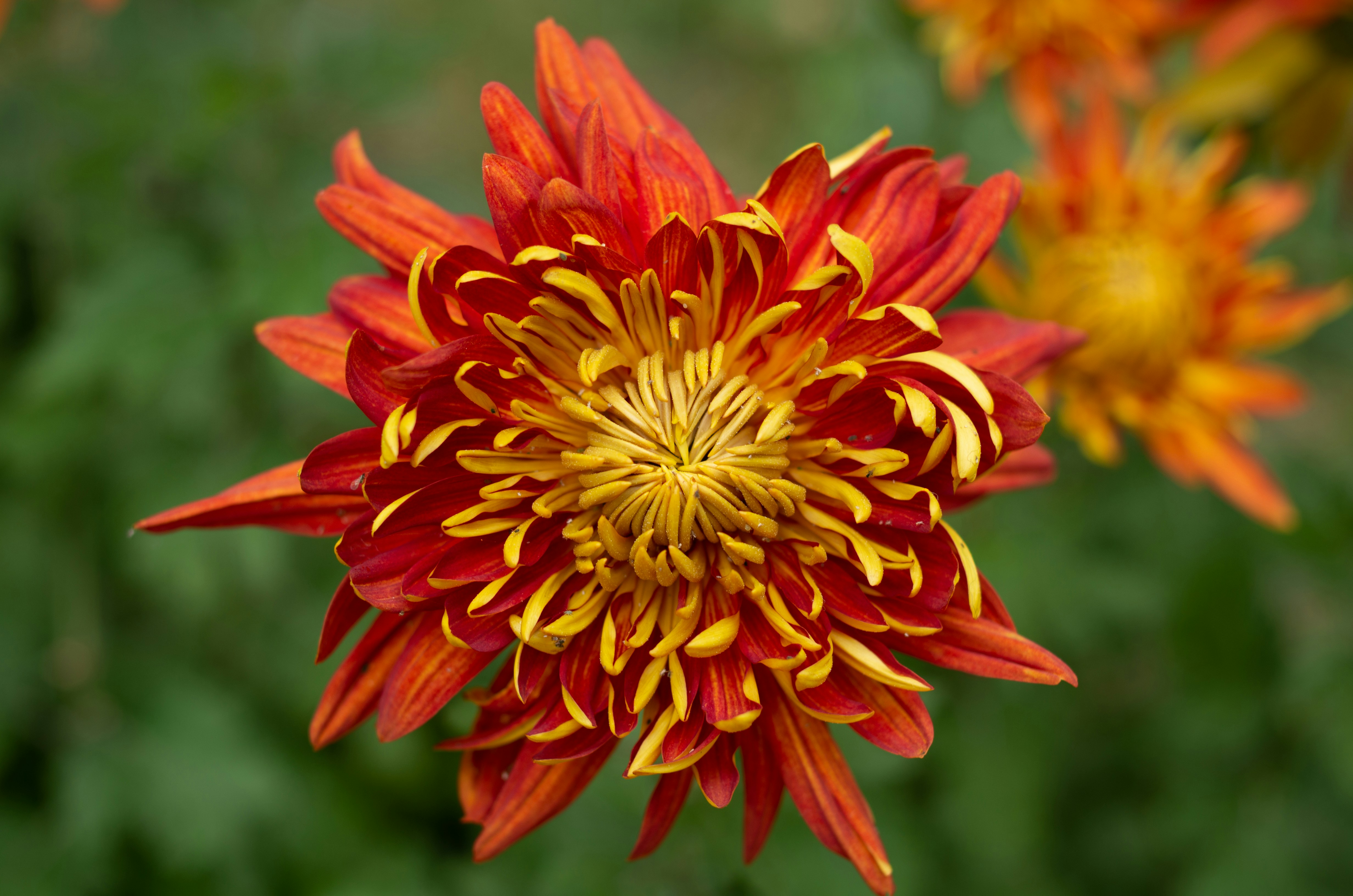 Photo by bigstarworkroom