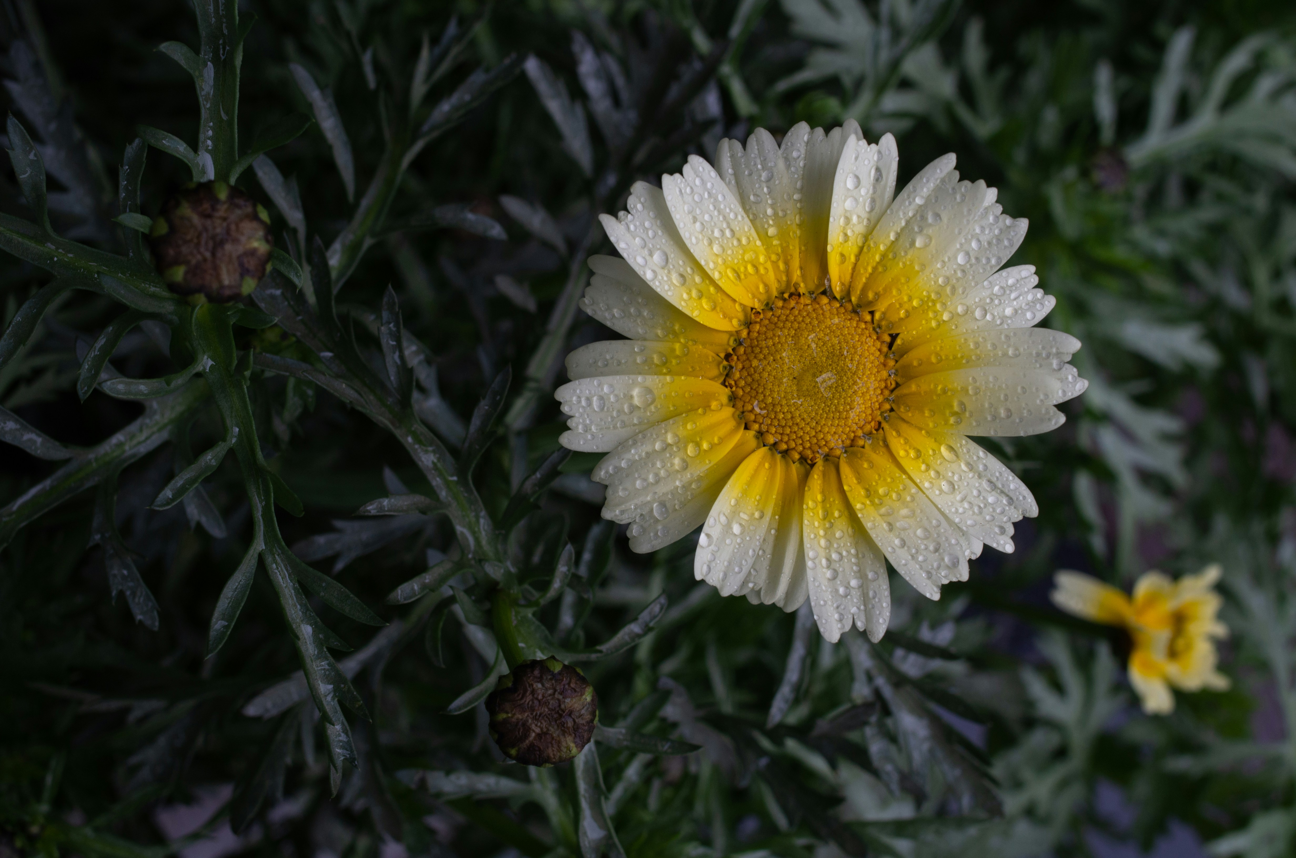 Photo by bigstarworkroom