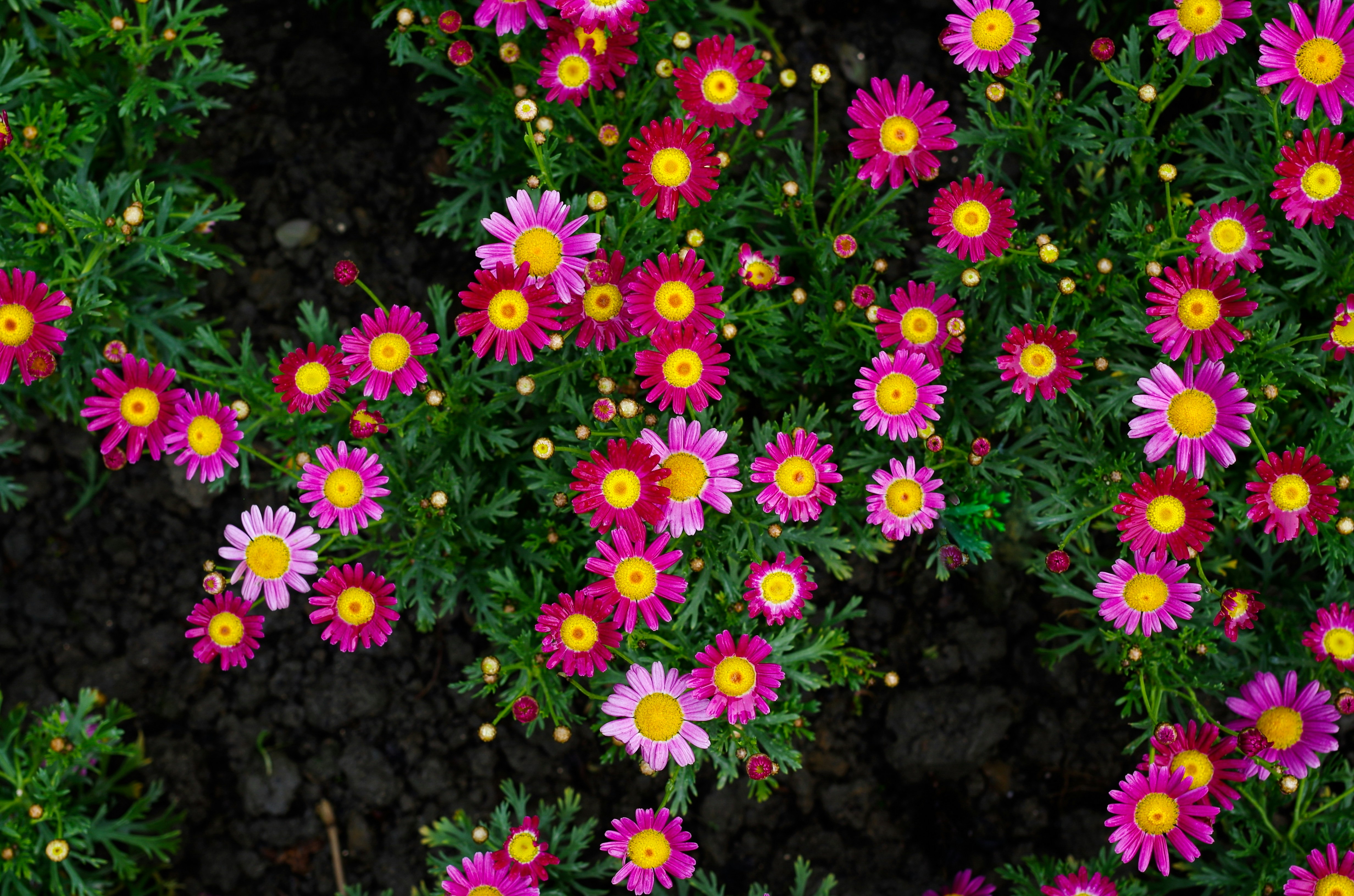 Photo by bigstarworkroom