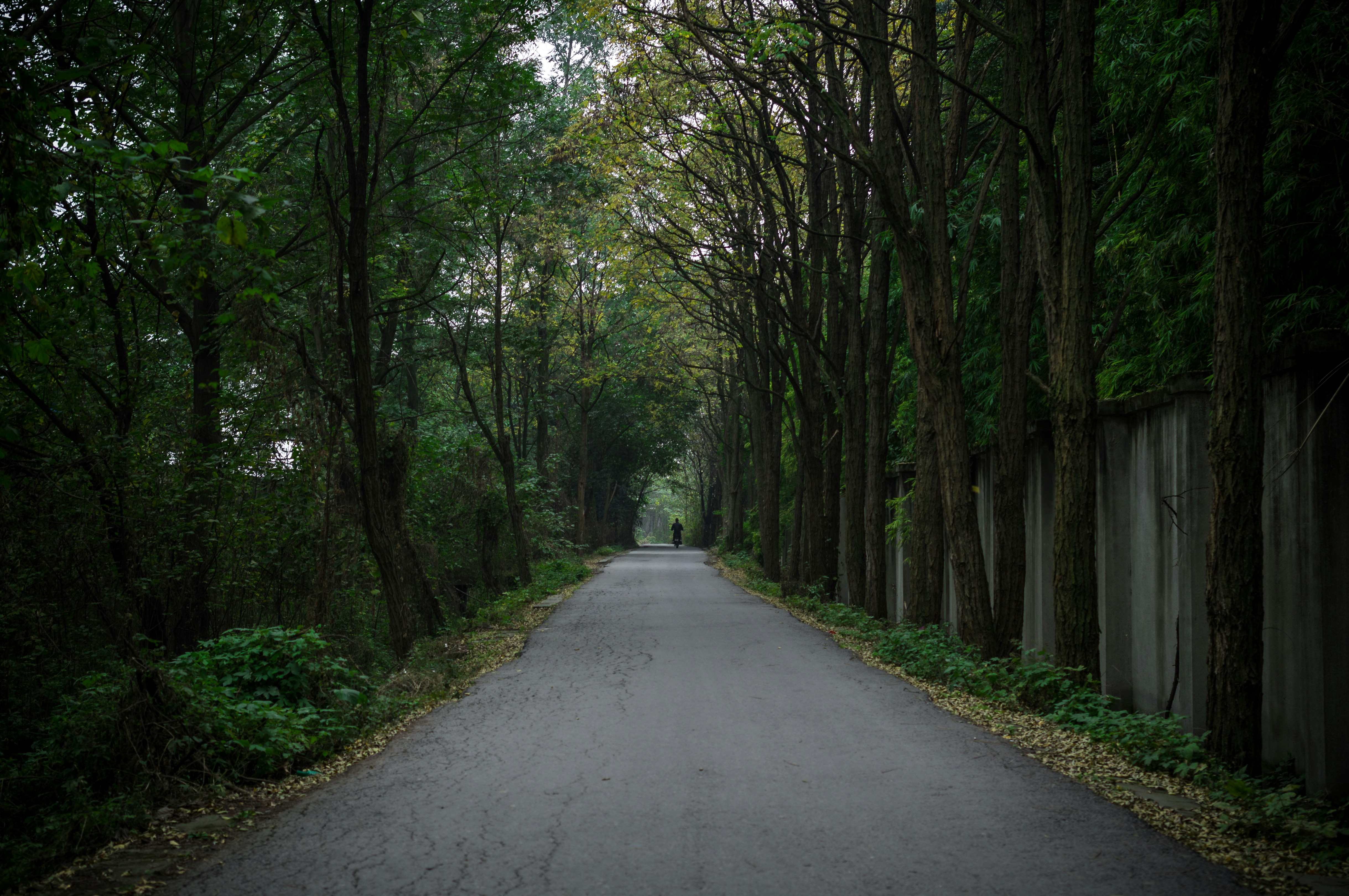 Photo by bigstarworkroom