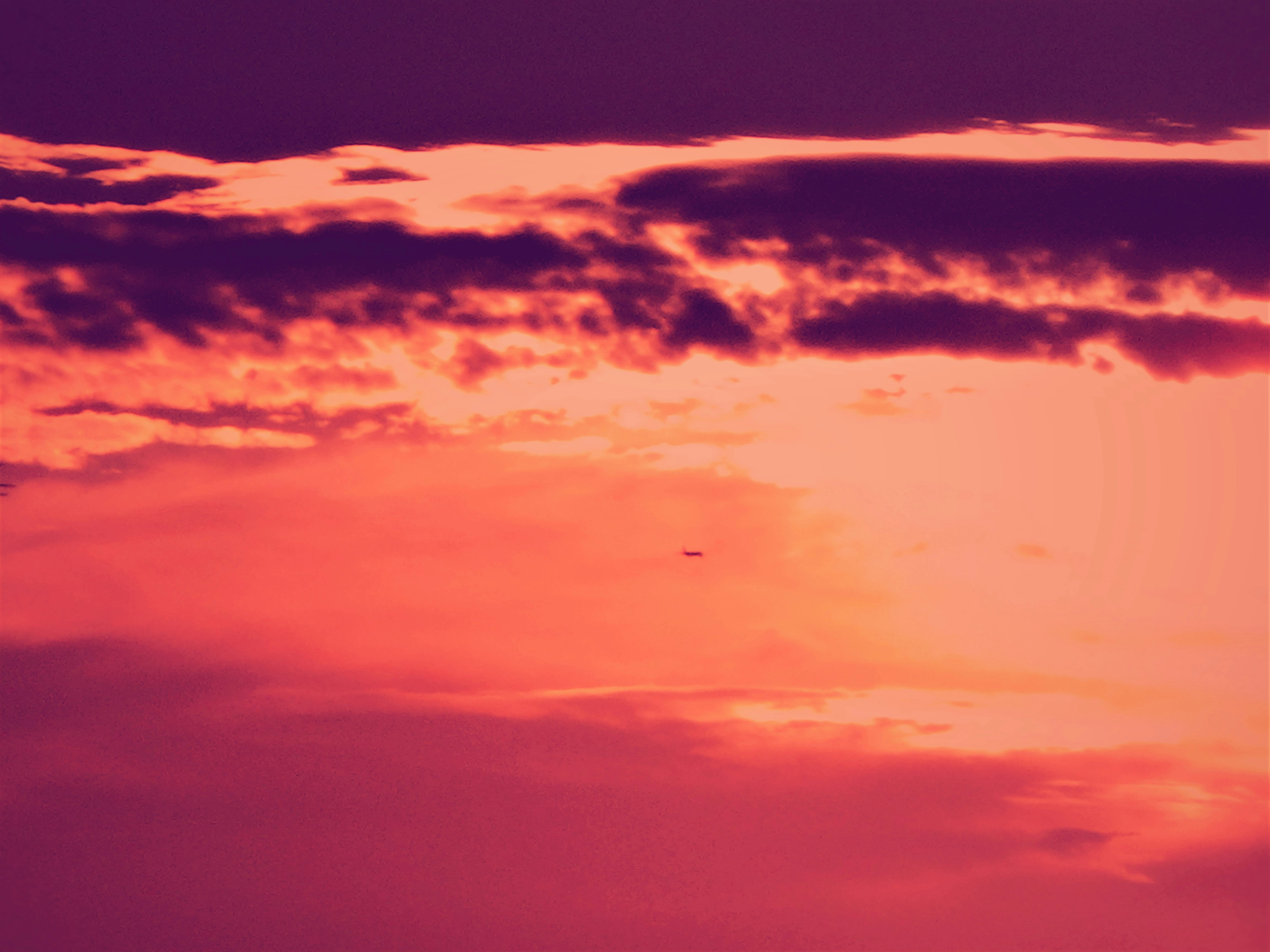 Photo by dominapetric