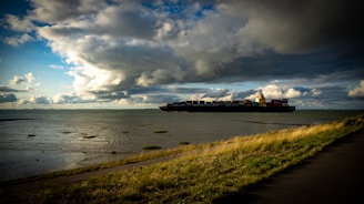 A large cargo ship sails across a vast body of water under dramatic, cloudy skies. The foreground features a grassy embankment bordering a narrow road, with patches of green visible in the shallow water.