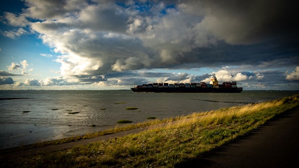 A large cargo ship sails across a vast body of water under dramatic, cloudy skies. The foreground features a grassy embankment bordering a narrow road, with patches of green visible in the shallow water.