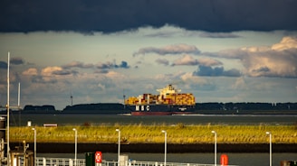 A cargo ship loaded with colorful containers is sailing across a body of water. The sky is filled with dark and dramatic clouds, creating a stark contrast with the lower horizon. Wind turbines are visible in the distance, and the shoreline is lined with grassy vegetation and several poles.
