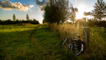 A peaceful rural landscape with a grassy path leading into a field surrounded by trees. The sun is setting, casting long shadows and creating a warm glow. A bicycle is leaning against a wooden post on the right side, partially hidden by tall grass.