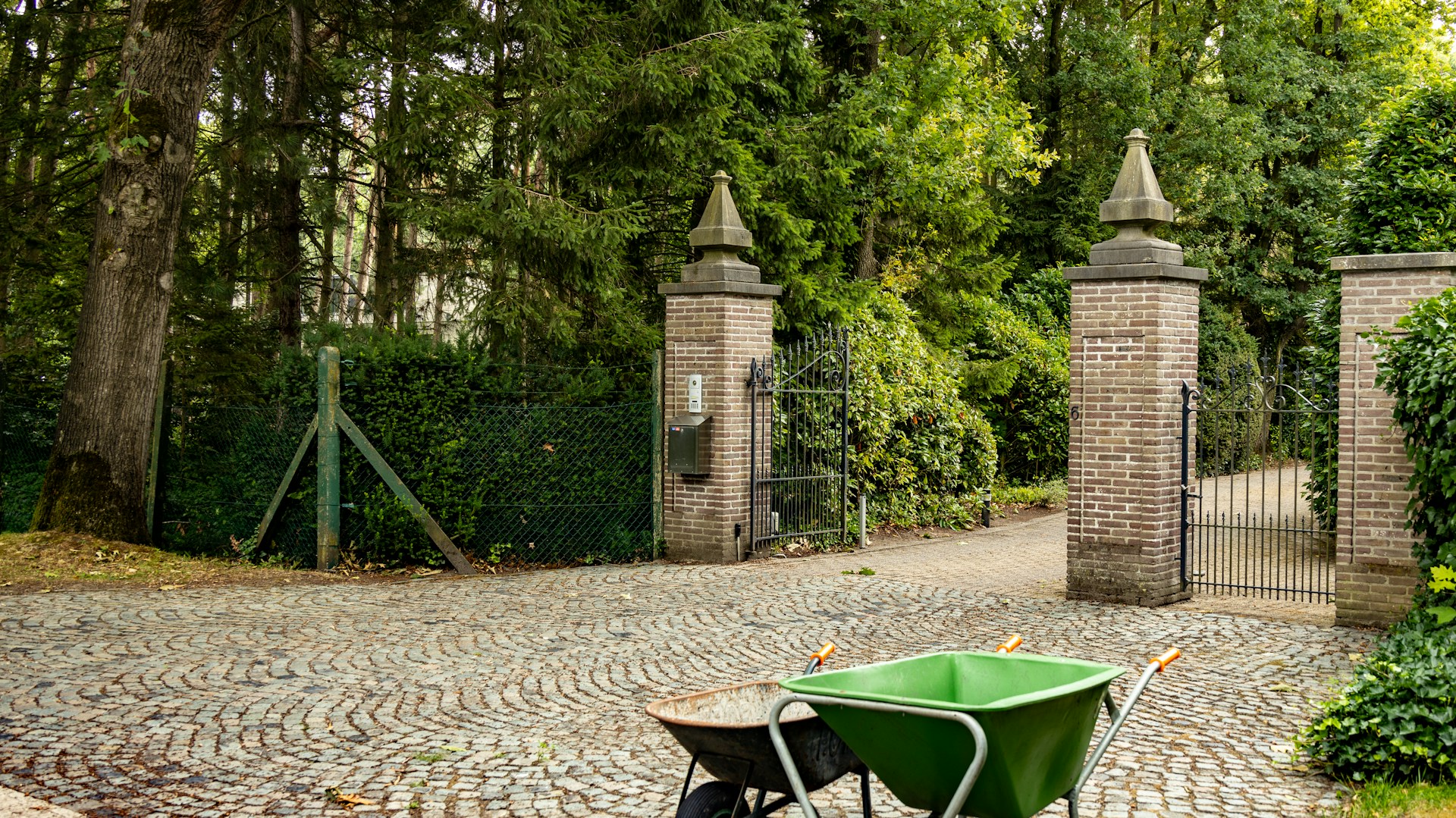 woman wearing yellow long-sleeved dress under white clouds and blue sky during daytime