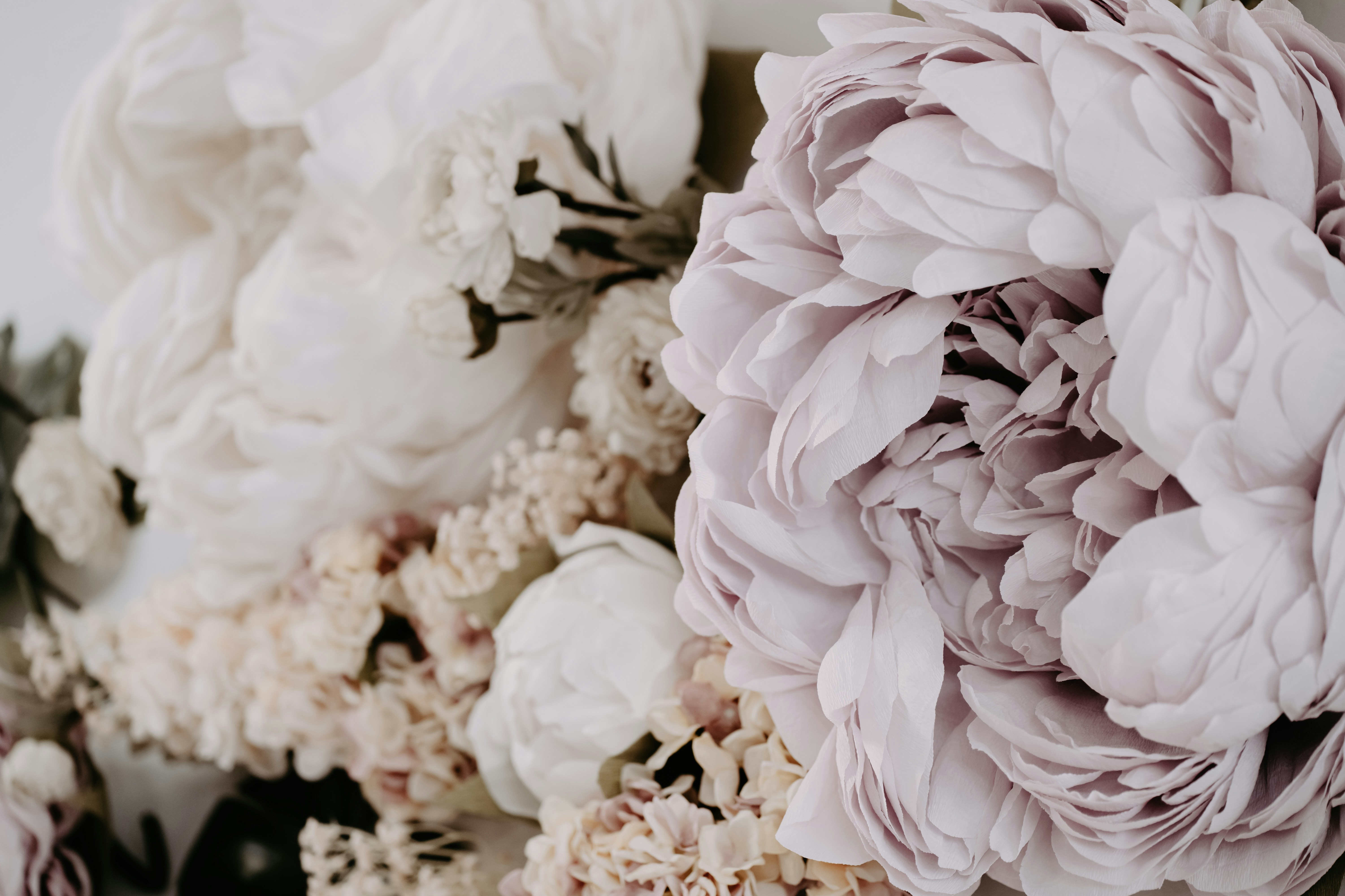 Photo by mahdibafande