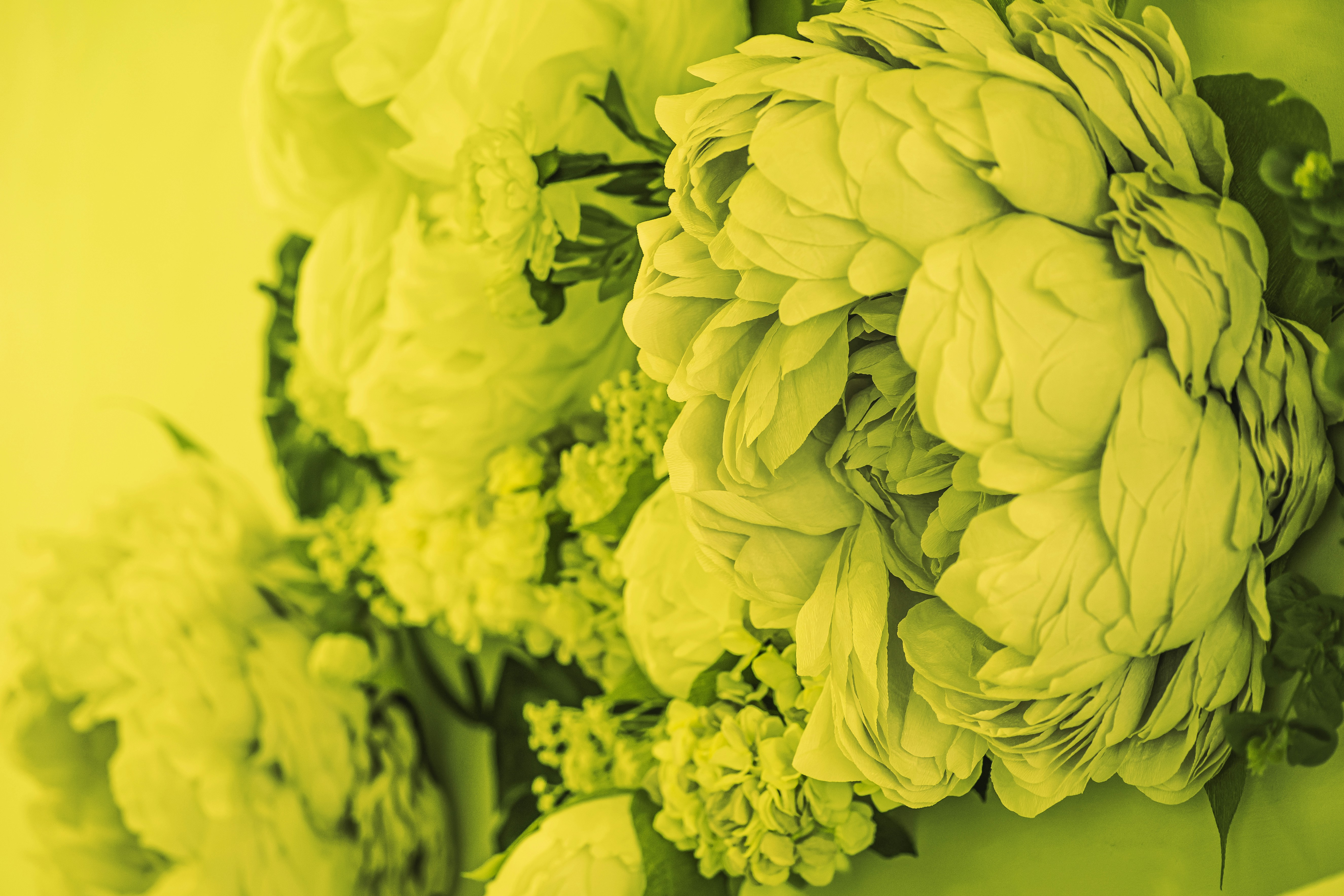 Photo by mahdibafande