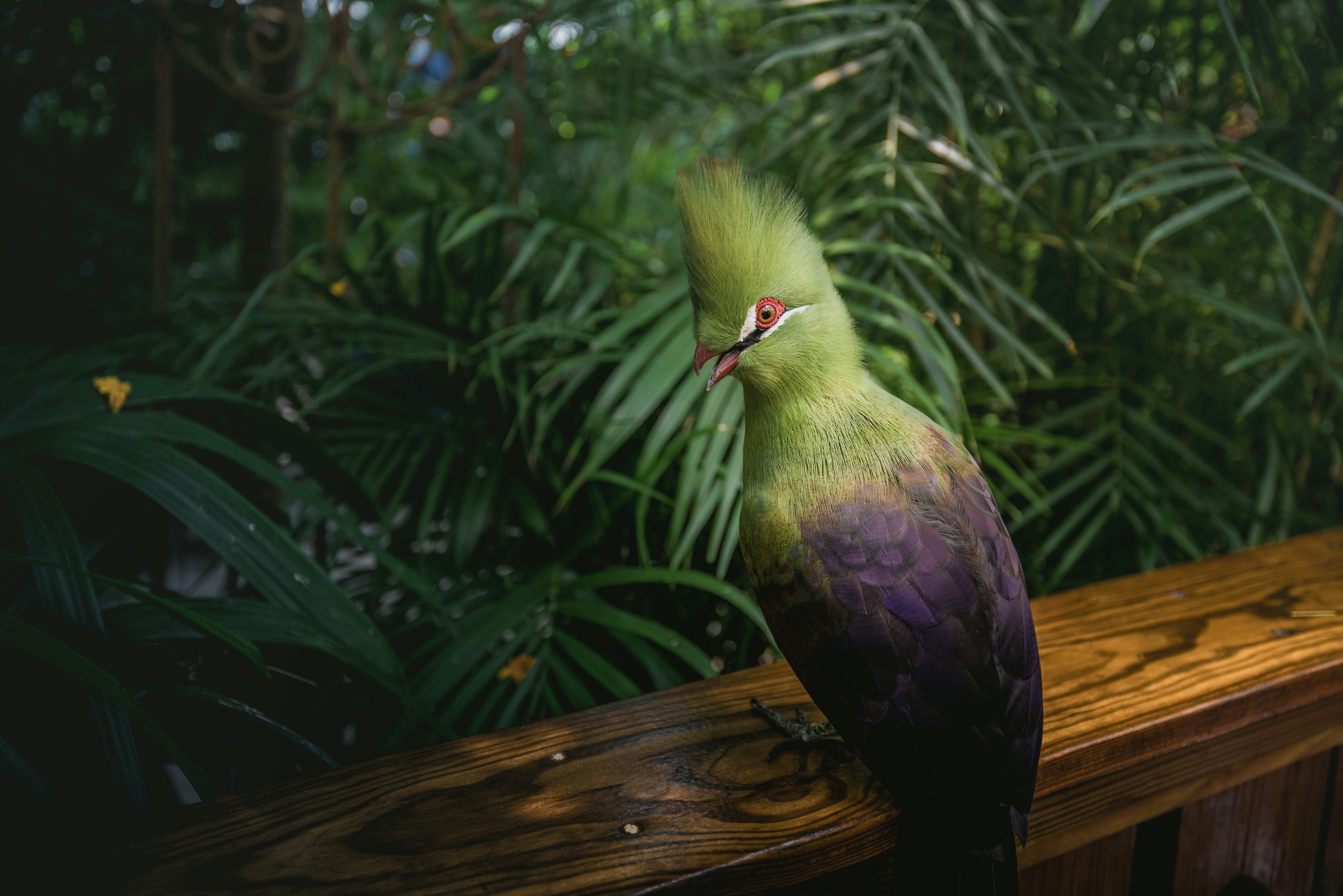 Stay online in the Guinea-Bissau with a prepaid eSIM from eSIMlii. Instant activation, no roaming charges, and reliable coverage.