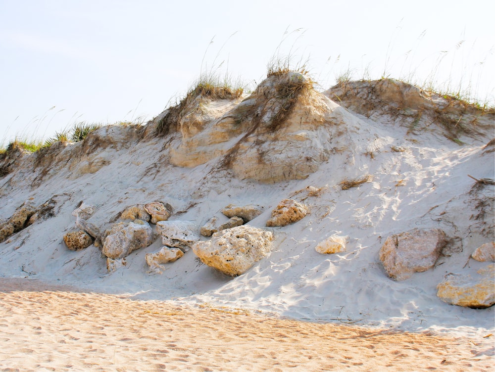uma praia de areia com pedras e grama em cima dela