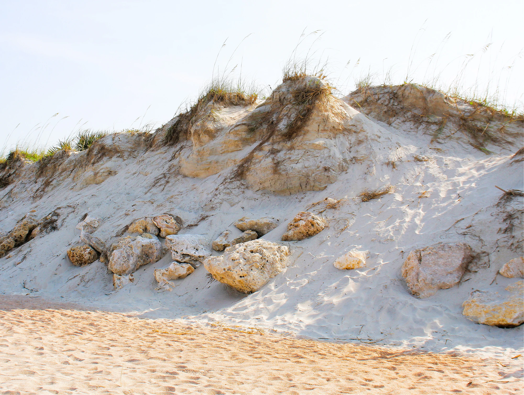 Quiet sandy beach with grassy dunes