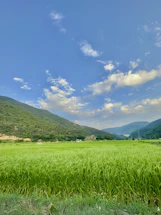 A peaceful Iraqi farm landscape with crops and a farmer talking to an investor.
