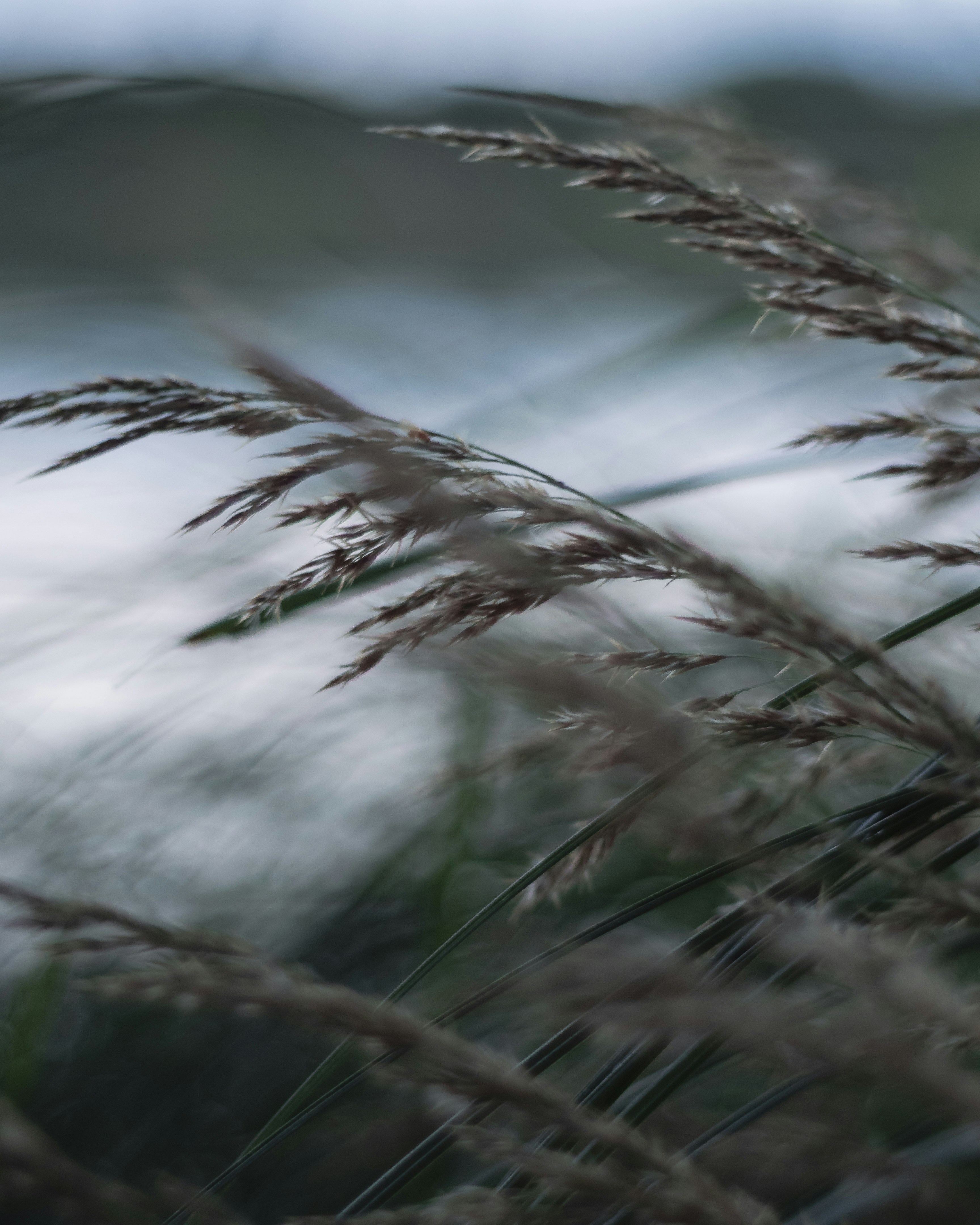 Photo by parasfrendi