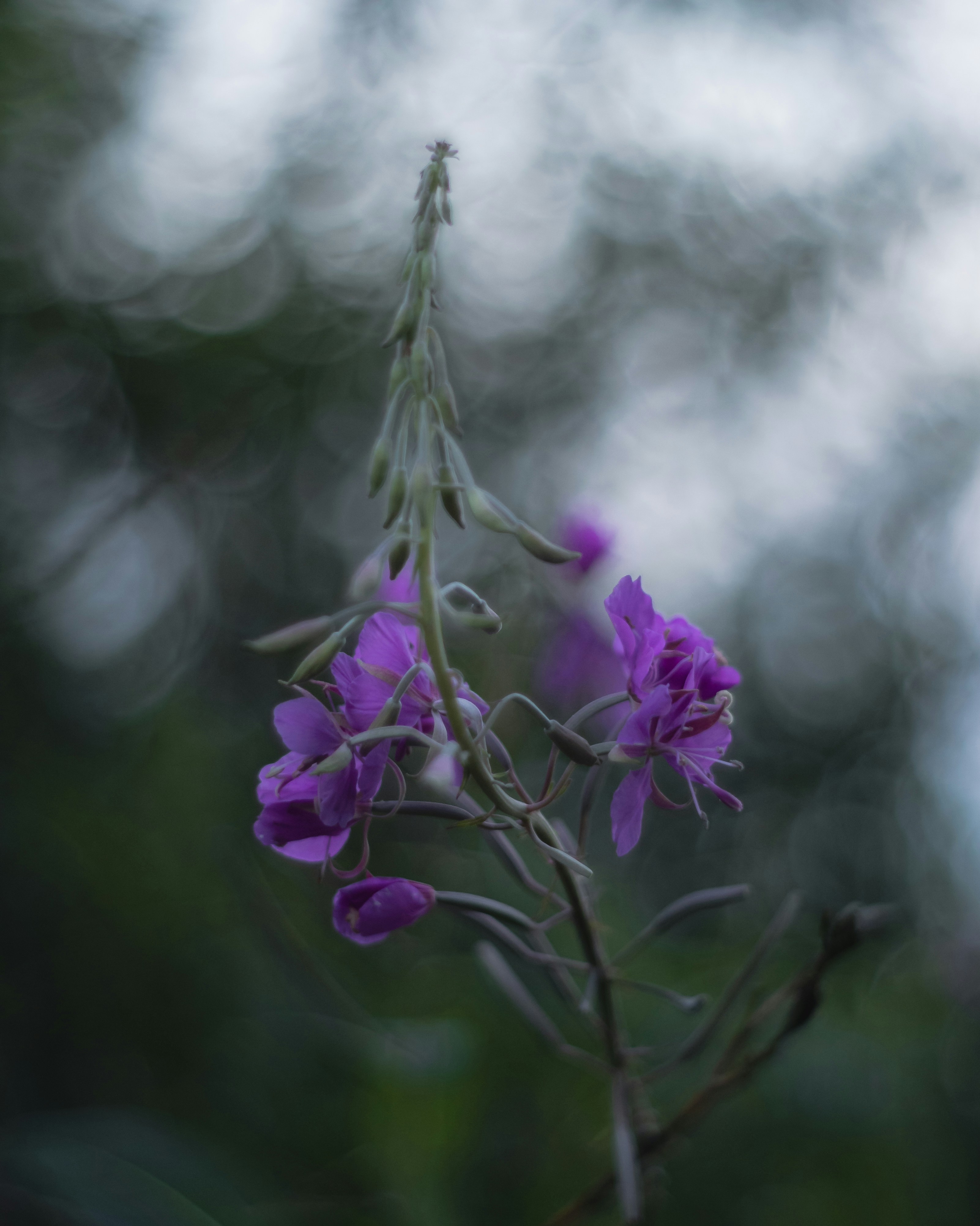 Photo by parasfrendi
