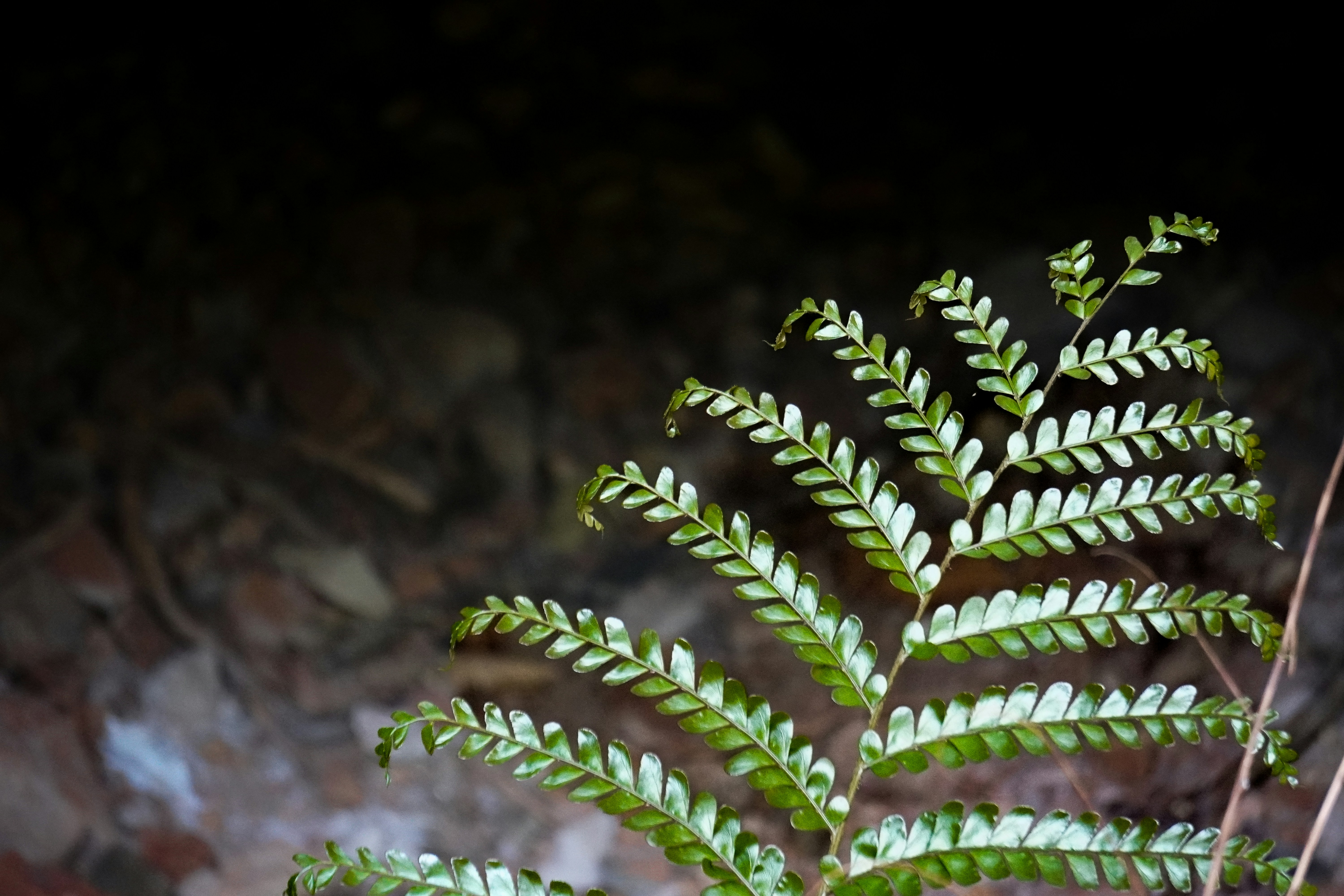 Photo by whereiskylenow