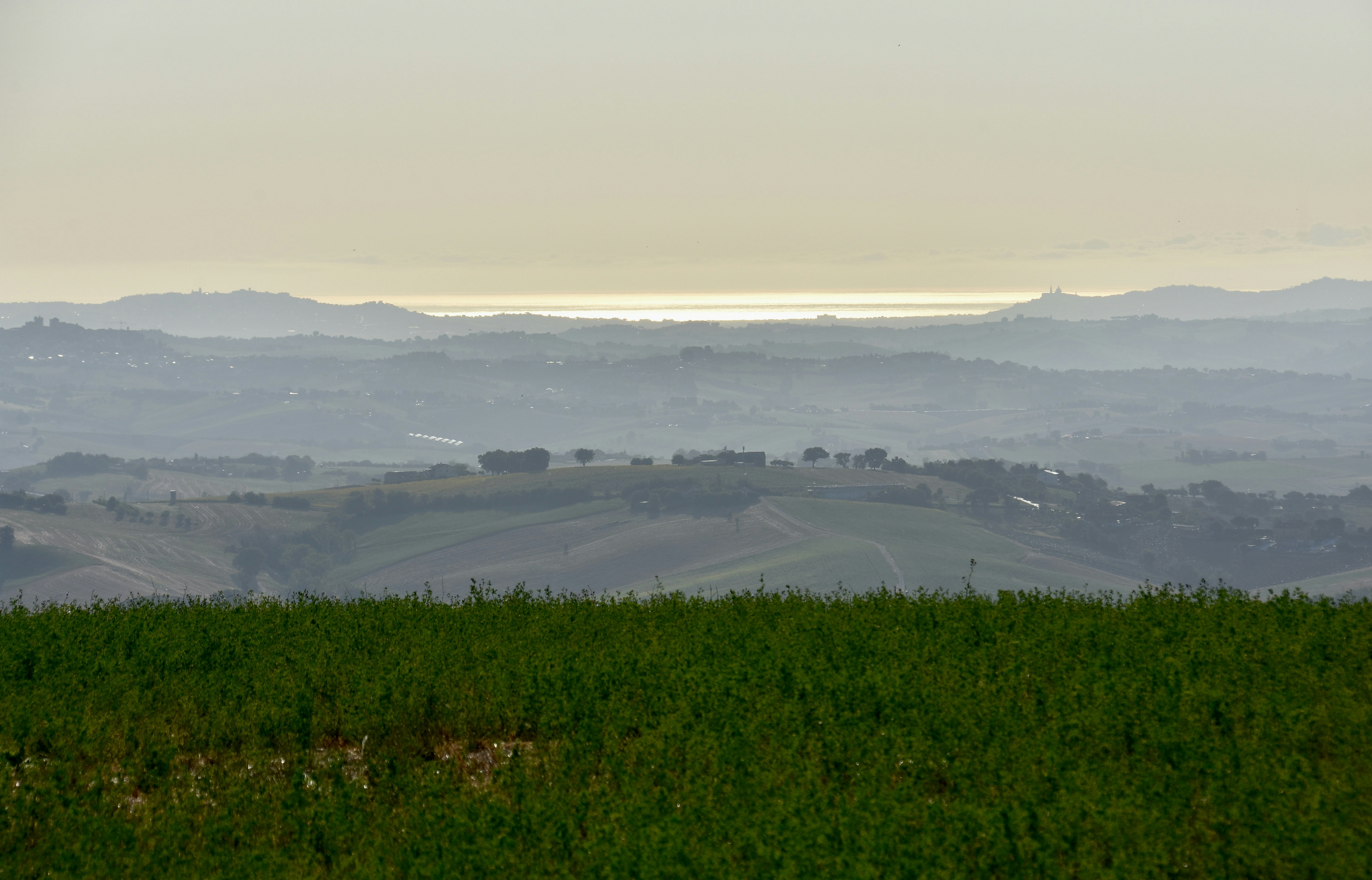 Photo by mariobeducci