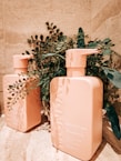 Bottles of nourishing shampoo and cleanser arranged on a wooden shelf with fresh herbs