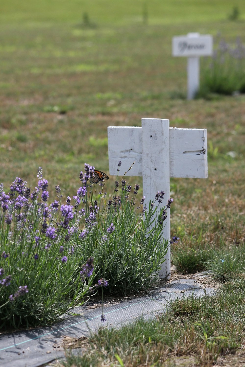 a white cross sitting in the middle of a field