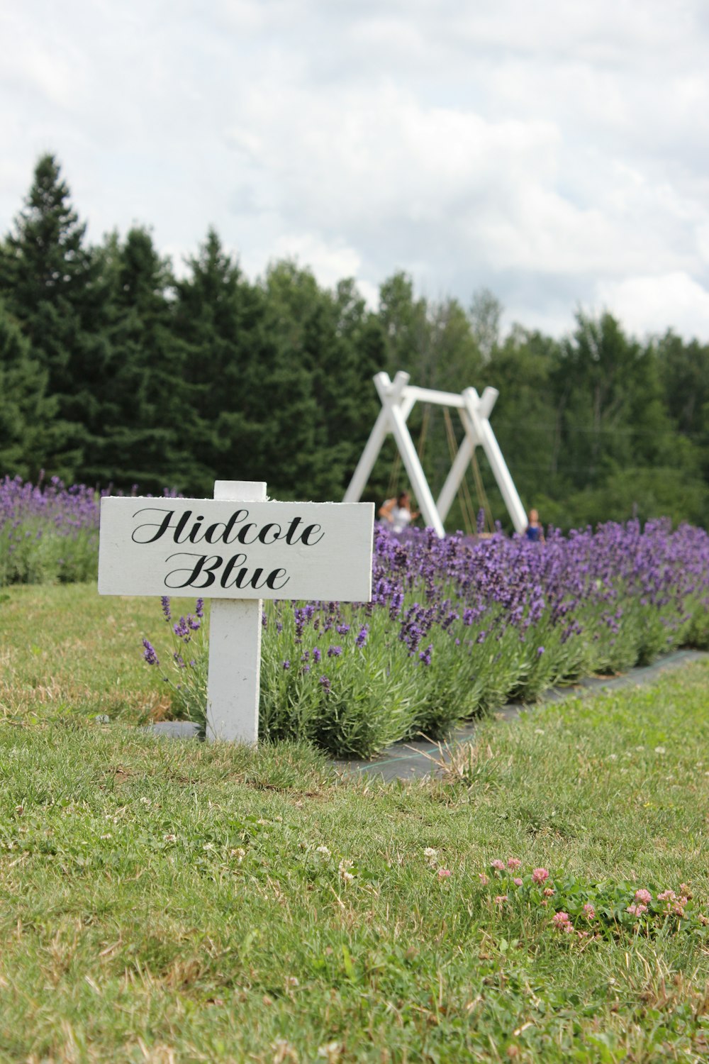 a sign that is in the grass near flowers