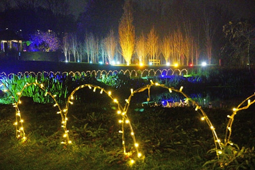 A nighttime scene featuring a garden illuminated by decorative lights. Arched strings of yellow lights create an enchanting path over lush greenery. In the background, a row of leafless trees is highlighted by vibrant lights in shades of purple, blue, and orange, creating a colorful and festive atmosphere. A bench is visible amidst the trees, contributing to the peaceful ambiance.