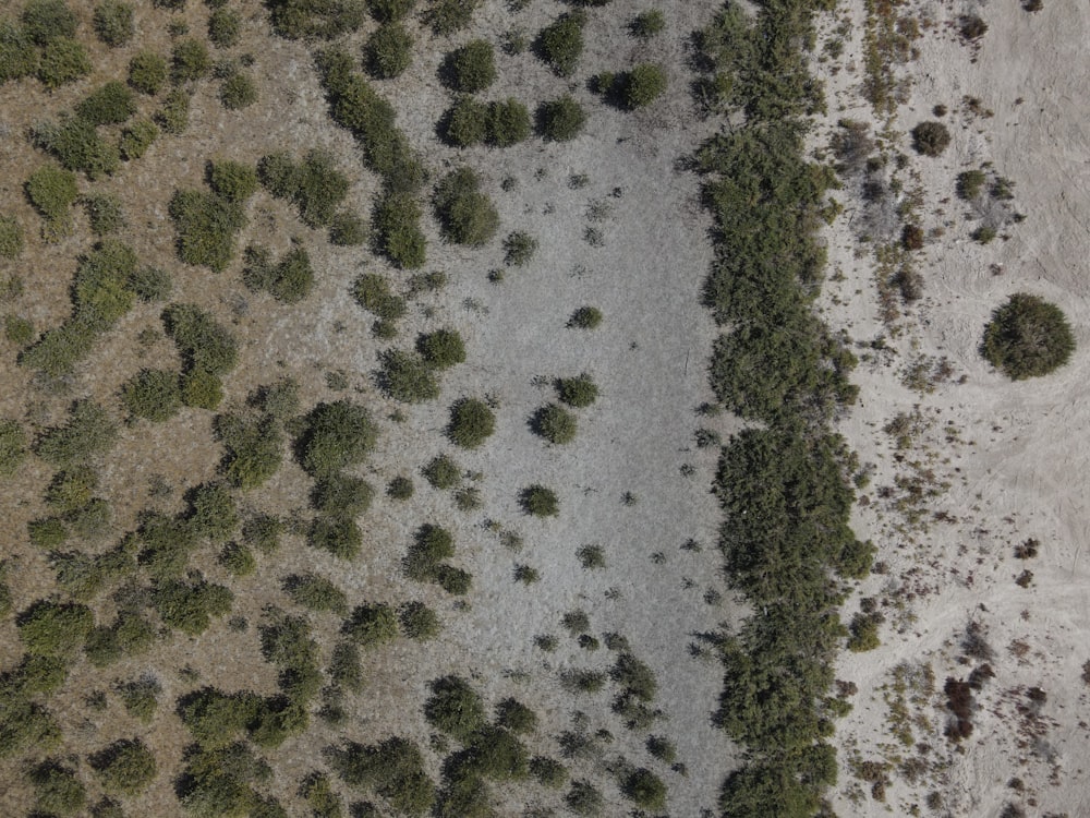 an aerial view of a dirt field and trees