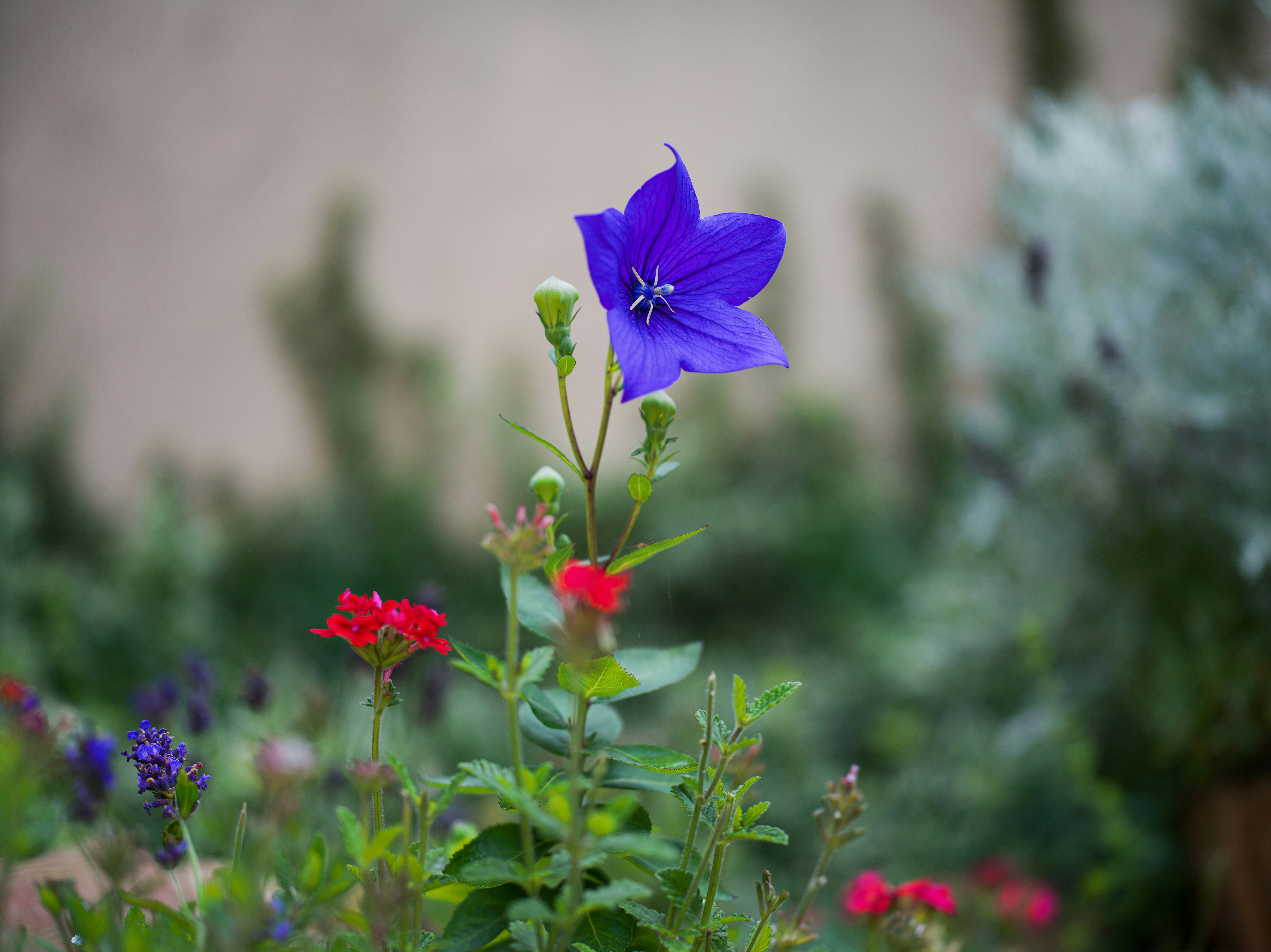 Photo by egorkomarov