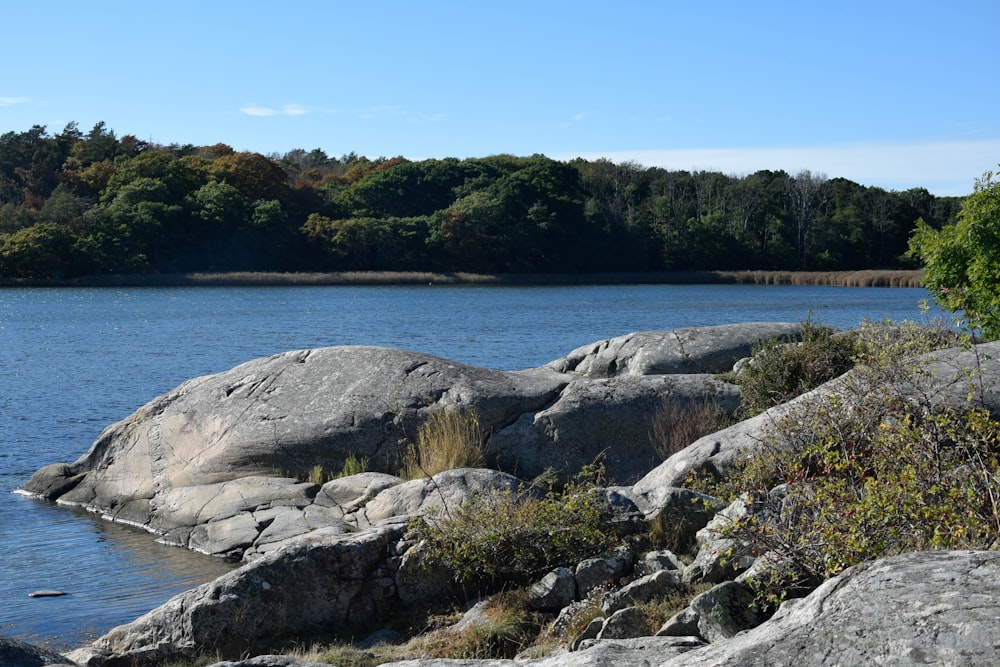 a body of water surrounded by rocks and trees