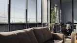 A cozy office or living area with large windows covered by horizontal blinds, allowing in filtered daylight. In the foreground, there is a plush brown sofa positioned under the windows. A tall green plant is placed near the windows, and in the background, there are pieces of office furniture including chairs and desks visible through the transparent partition.