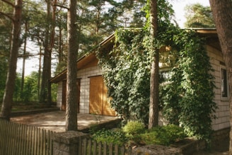 Cozy rustic vacation house nestled in the forest of the French Ardennes.