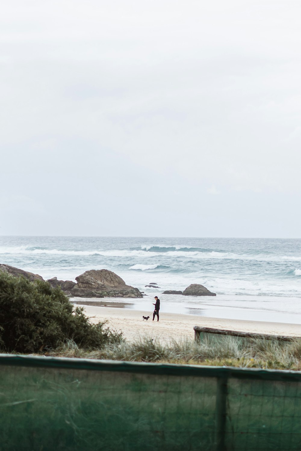 a person walking a dog on a beach near the ocean