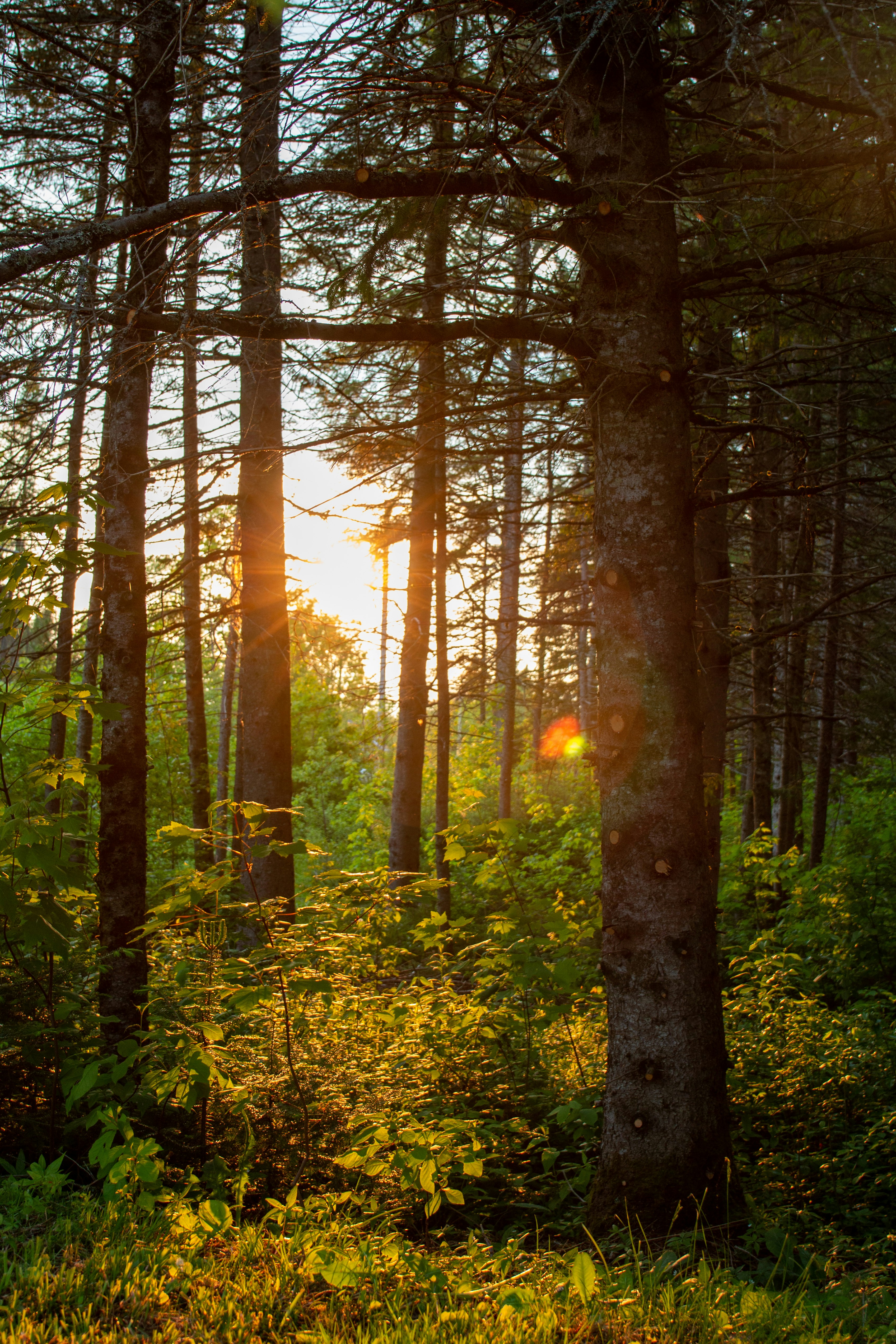 Photo by crancourt96