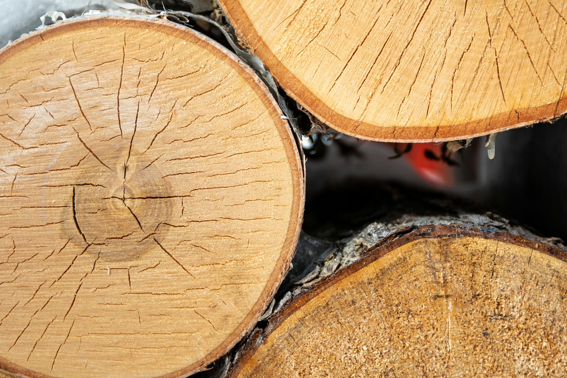 a pile of wood that has been cut in half