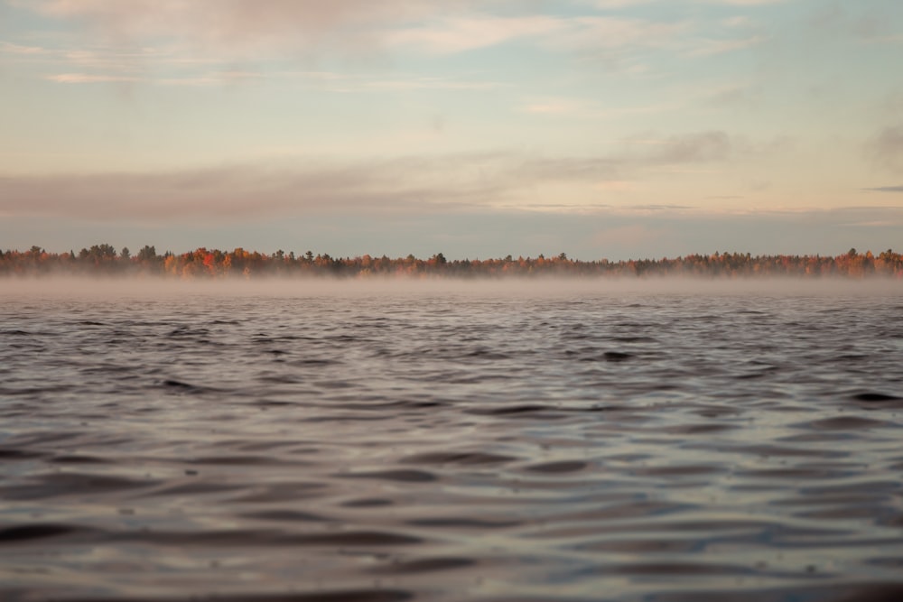 a body of water with trees in the background