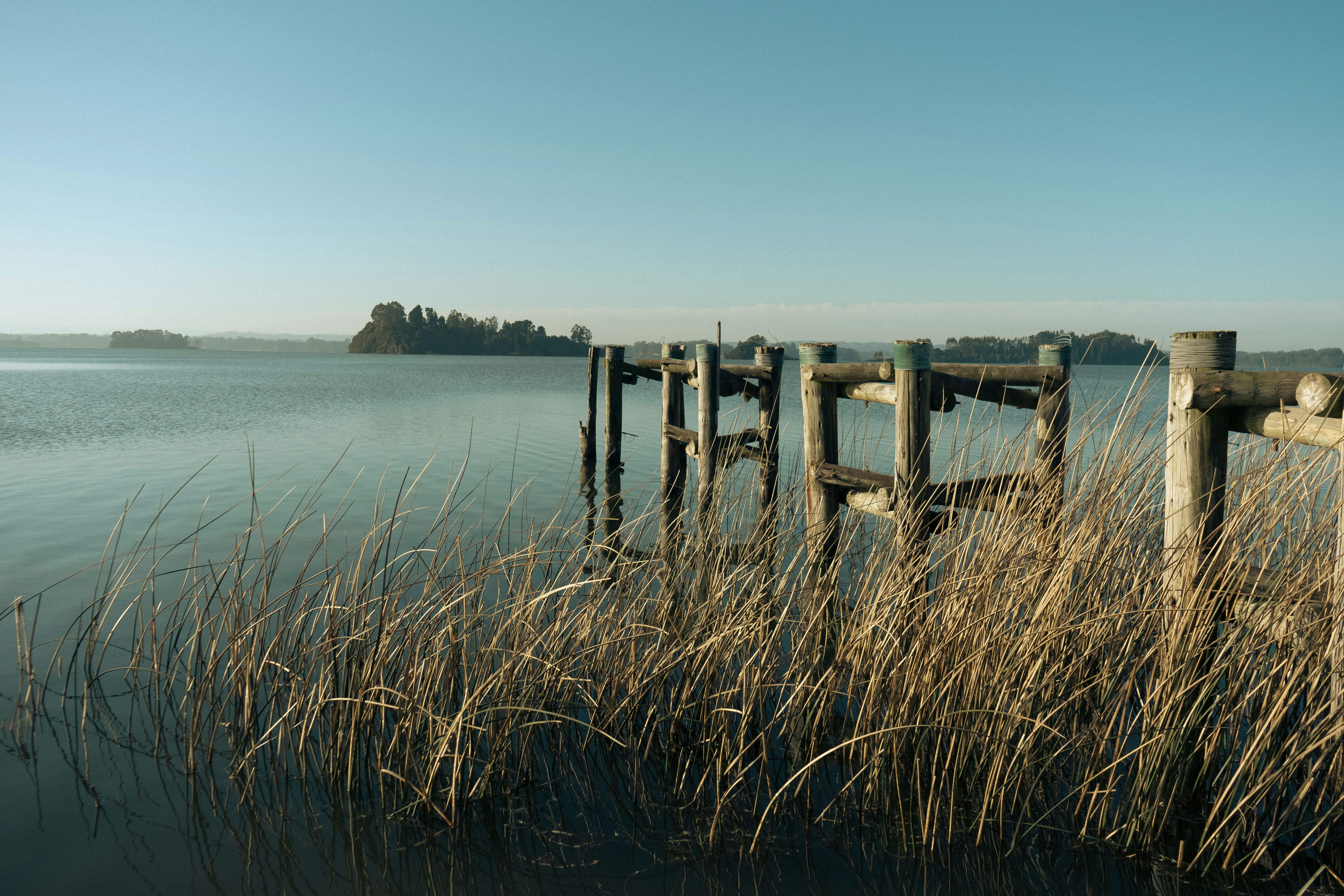 a wooden dock sitting on top of a lake next to tall grass