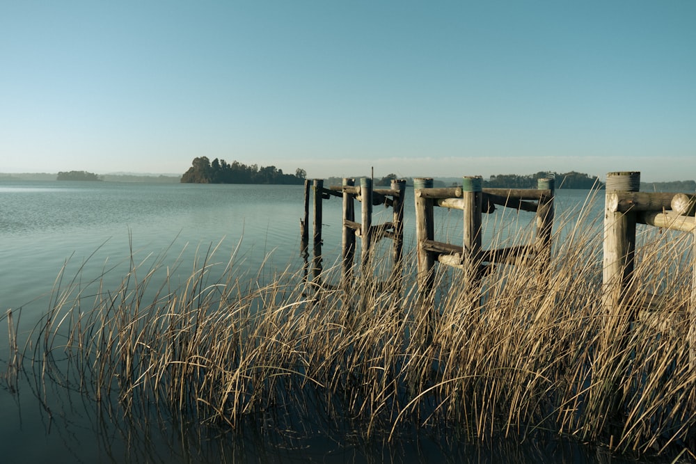 a wooden dock sitting on top of a lake next to tall grass