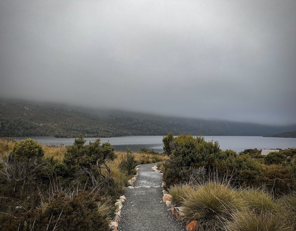 a path leading to a body of water on a cloudy day