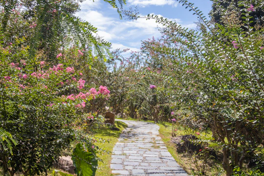 A cozy backyard filled with colorful flowers and winding stone paths under soft sunlight.