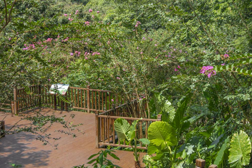 A detailed wooden deck surrounded by lush greenery.