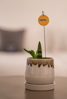 A small, white ceramic pot contains a green plant with a couple of leaves. Above the plant, attached to a thin wire, is a round, wooden tag with the word 'HAPPY' written on it. The background is softly blurred, featuring neutral tones, adding a cozy and minimalist ambiance.
