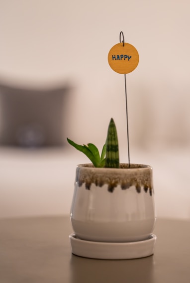 A small, white ceramic pot contains a green plant with a couple of leaves. Above the plant, attached to a thin wire, is a round, wooden tag with the word 'HAPPY' written on it. The background is softly blurred, featuring neutral tones, adding a cozy and minimalist ambiance.