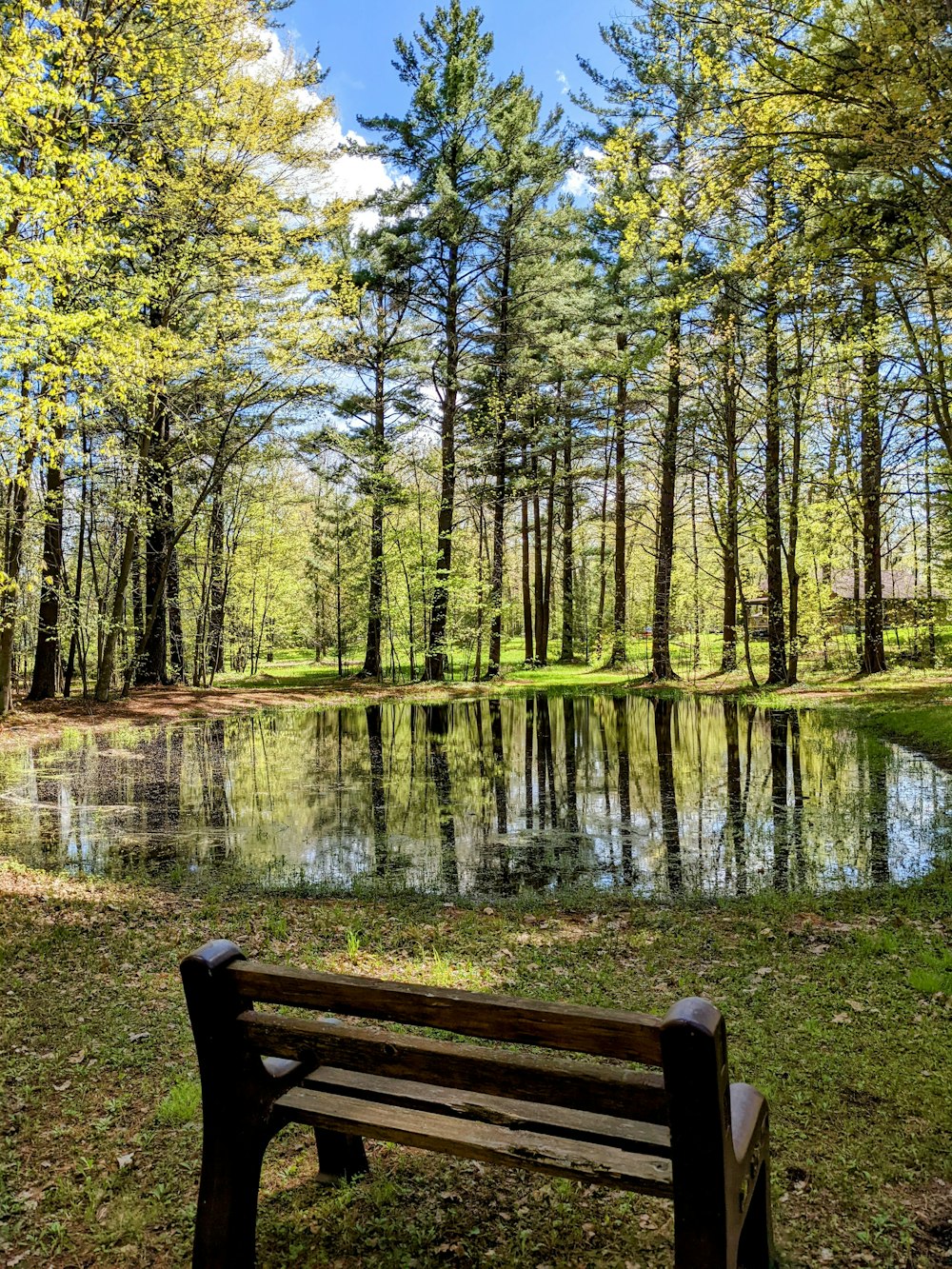 a bench sitting in front of a lake surrounded by trees