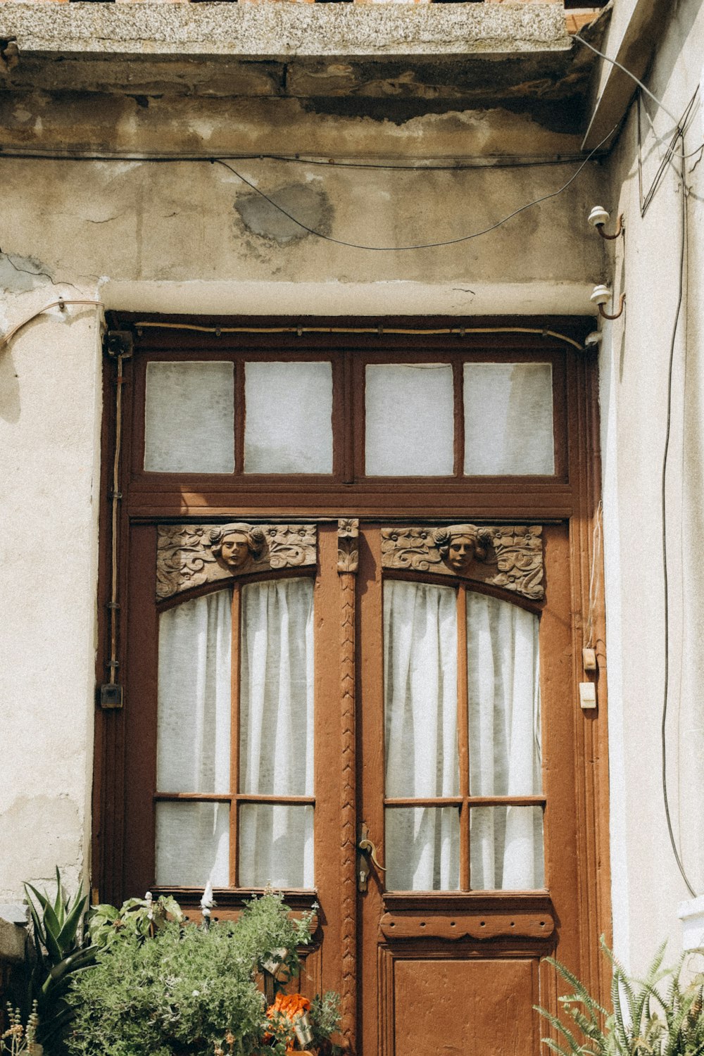 a wooden door with two windows and a planter in front of it