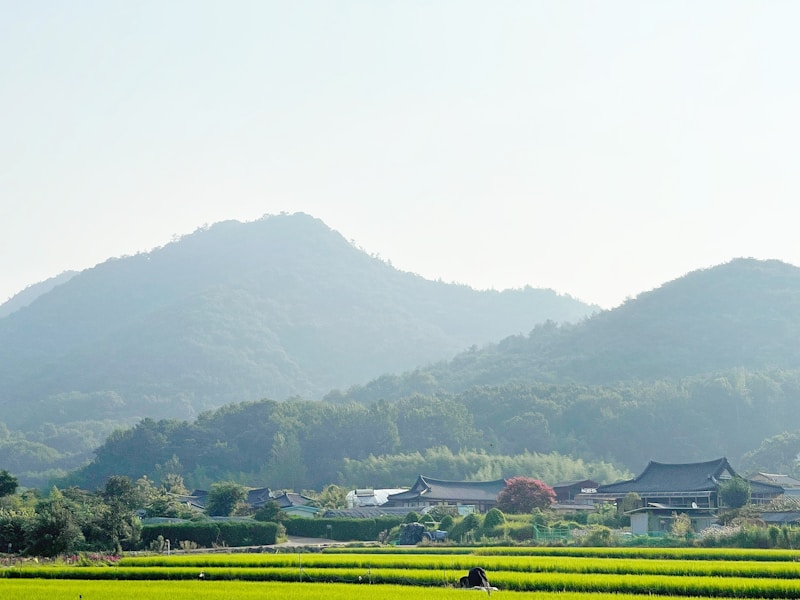 KoreanCulture
