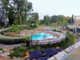 Outdoor swimming pool surrounded by lush greenery and sun loungers on a sunny day.