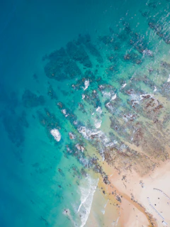 A panoramic view of a coastal area monitored for ocean health, with turquoise waters meeting sandy shores.